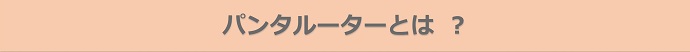パンタルーターとは