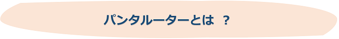 パンタルーターとは